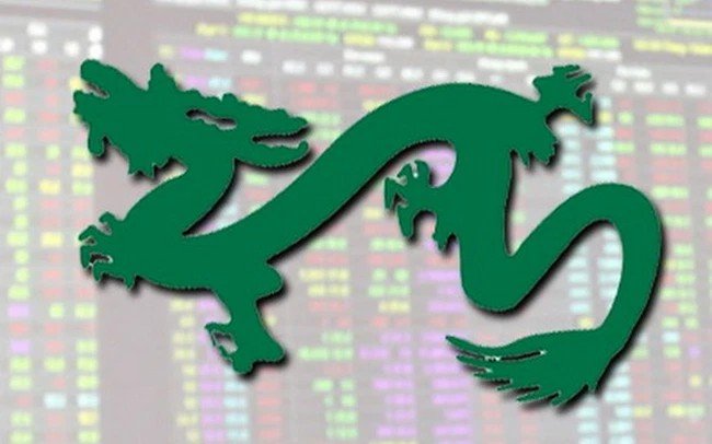 10 mã cổ phiếu chiếm tỷ trọng lớn nhất quỹ ETF mới của Dragon Capital
