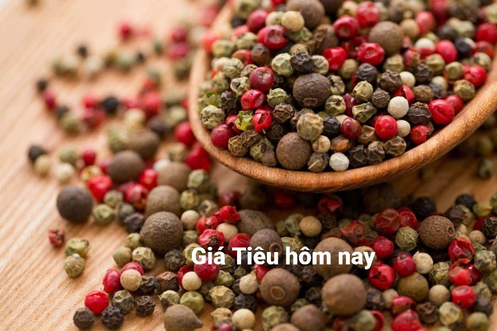 gia-tieu-Vnfinance