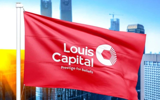 Trích lập dự phòng vào công ty con, Louis Capital từ lãi thành lỗ sau kiểm toán (Ảnh minh họa)