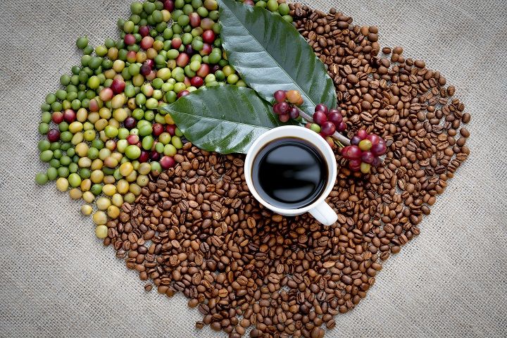 kona-coffee-Vnfinance