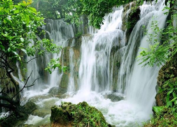Thác Voi - Tuyệt tác thiên nhiên giữa núi rừng Đà Lạt