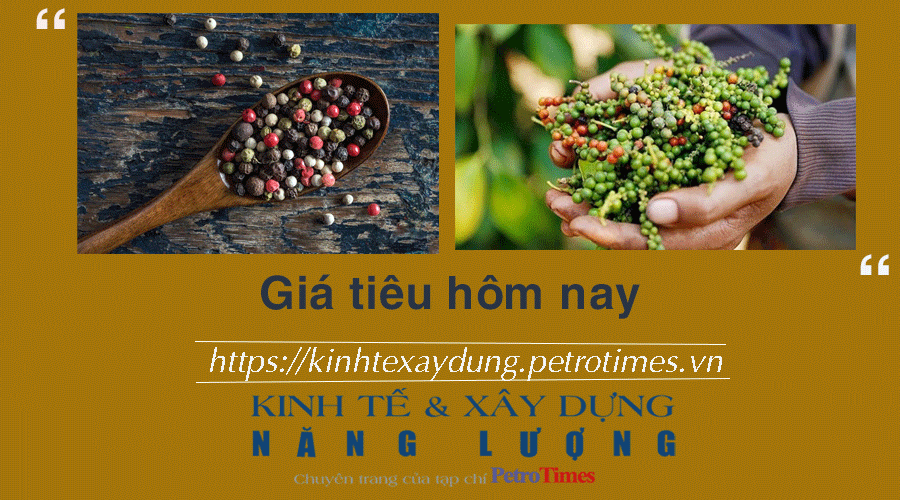 Giá tiêu hôm nay 29/11: Tăng nhẹ tại một số tỉnh trọng điểm