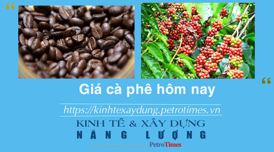 Giá cà phê hôm nay 4/12: Liệu giá cà phê Robusta tiếp tục tăng