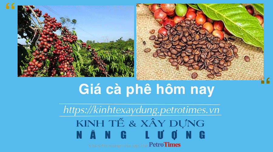 Giá cà phê hôm nay 25/12: Robusta và Arabica đều giữ ổn định