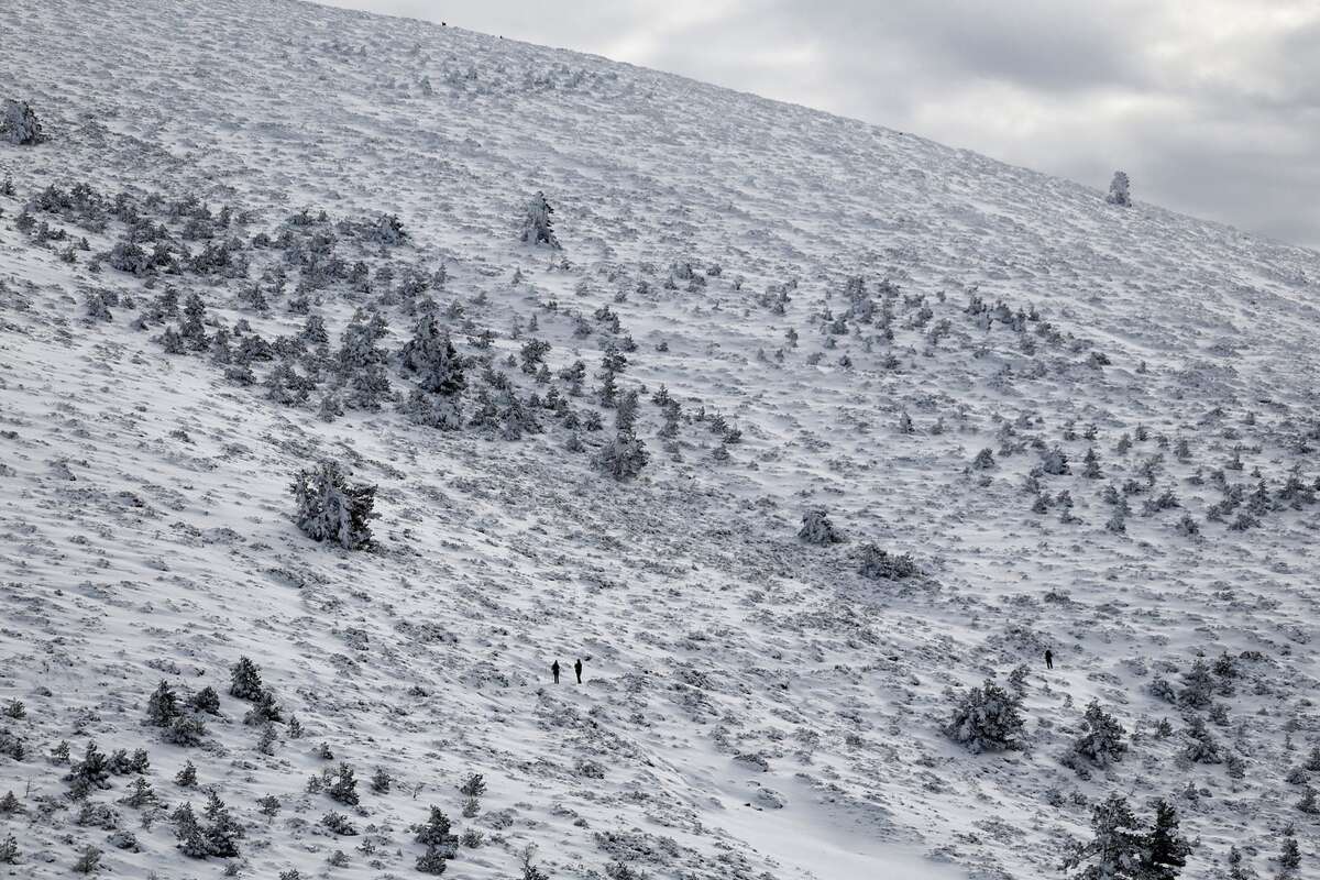 Người dân ghé thăm đèo Navacerrada sau khi tuyết rơi ở dãy núi Guadarrama phía Bắc Madrid, Tây Ban Nha, ngày 12/1. (Ảnh: Reuters)