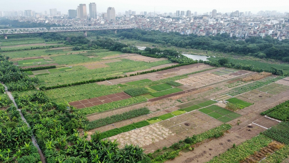 Hiện trạng cảnh quan khu vực bãi giữa sông Hồng