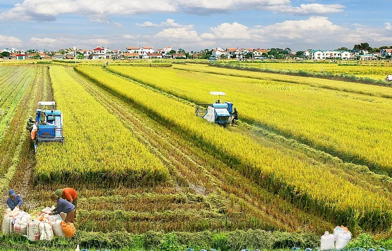 Điểm tin xây dựng - bất động sản ngày 5/2: Đề xuất miễn, giảm tiền thuê đất nông nghiệp để thúc đẩy đầu tư nông thôn