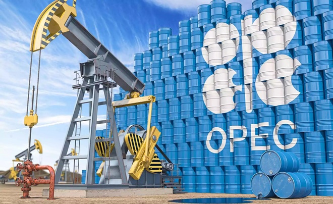 Điểm nổi bật của thị trường dầu mỏ toàn cầu của OPEC