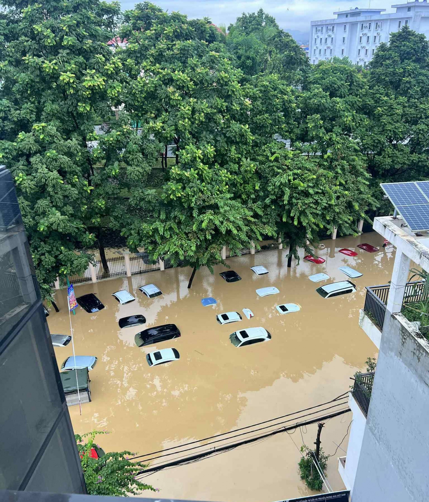Trước khu vực cổng Tỉnh ủy Thái Nguyên, nước dâng cao khiến nhiều ô tô bị ngập gần hết phần đầu xe.