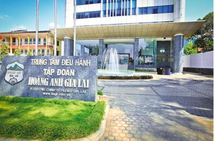 Hoàng Anh Gia Lai hoán đổi nợ thành cổ đông với loạt doanh nghiệp, cá nhân- Ảnh 1.