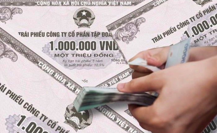 Loạt công ty thuộc Tập đoàn Masan dùng hàng nghìn tỉ tiền trái phiếu không đúng mục đích- Ảnh 2.