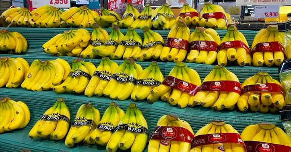 Hoàng Anh Gia Lai đạt doanh thu từ trái cây hơn 4.400 tỷ.