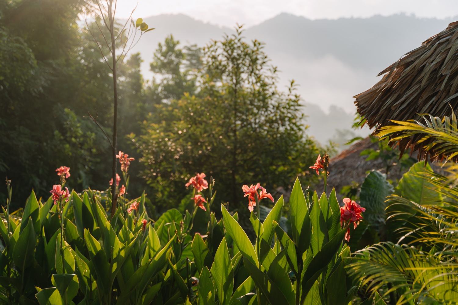 Trở về miền an yên: Một ngày ở An Châng nơi núi rừng Hà Giang