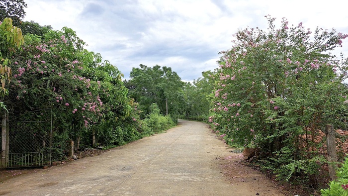 Khi xã lên trung tâm, đất tăng giá: Cơn sốt từ niềm tin hay chiêu trò của môi giới?- Ảnh 2.