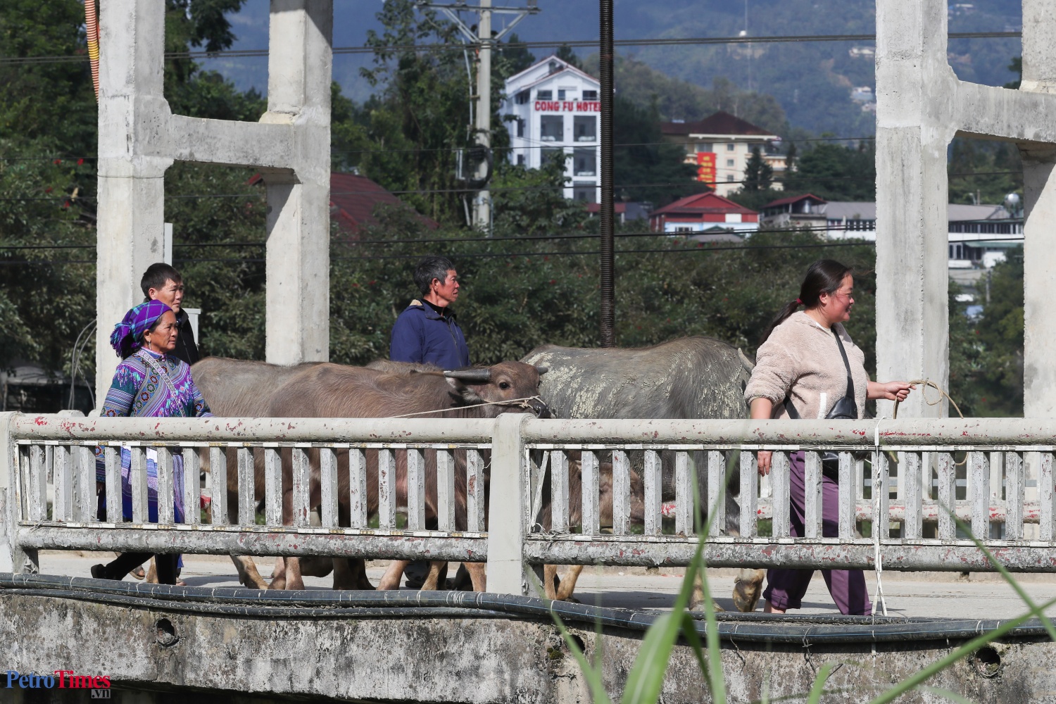 Phiên chợ trâu Bắc Hà: Sàn giao dịch trăm năm trên cao nguyên