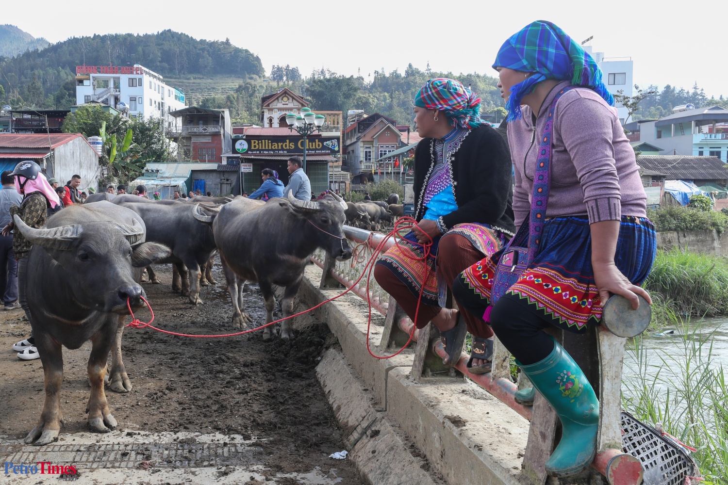 Phiên chợ trâu Bắc Hà: Sàn giao dịch trăm năm trên cao nguyên