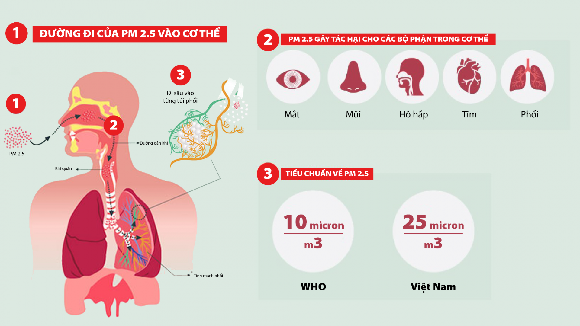 Bụi mịn PM2.5: Thứ “không thấy” nhưng tác hại khó lường tới sức khỏe