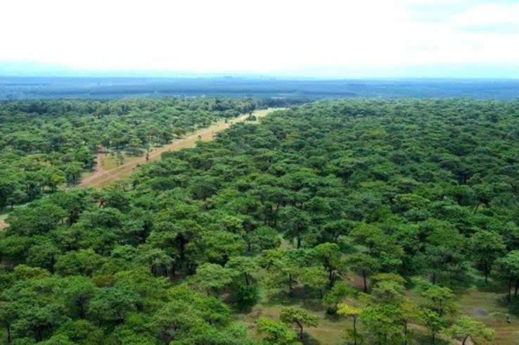 Điểm tin xây dựng - bất động sản ngày 15/12: Giá chung cư vùng ven Hà Nội tăng mạnh, vượt nội đô