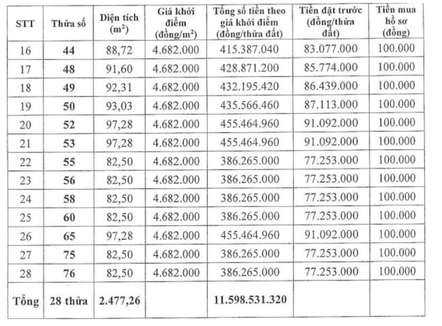 Hà Nội đấu giá hàng loạt lô đất cuối năm: Có khu giá khởi điểm hàng trăm tỷ đồng- Ảnh 1.