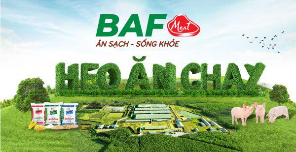 Hình minh hoạ (Nguồn: BAF)
