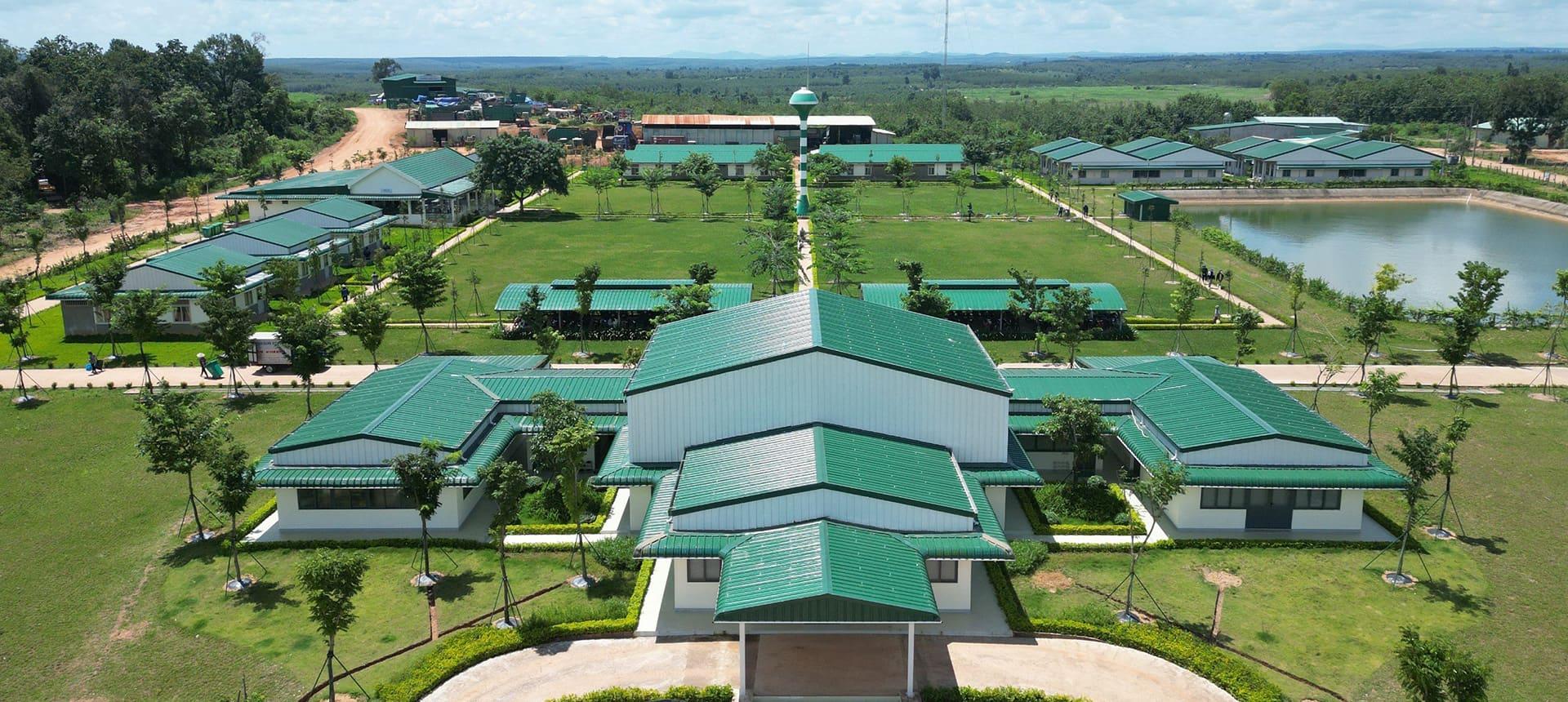Hình minh họa