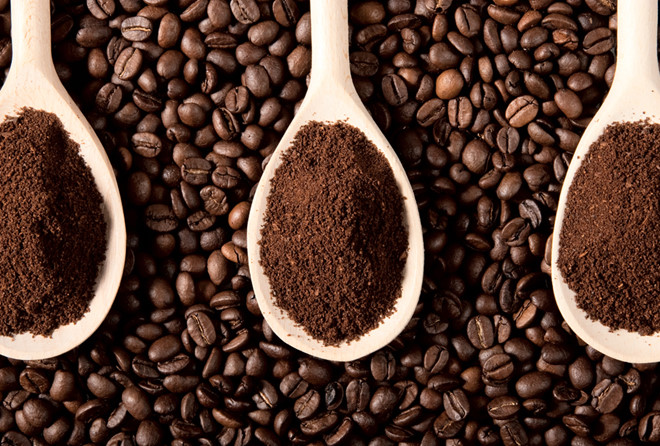 Giá cà phê hôm nay 24/9: Giá cà phê trên 2 sàn phục hồi nhẹ