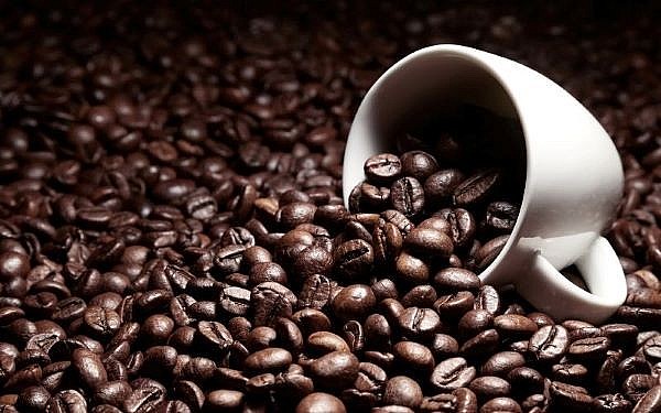 Giá cà phê hôm nay 12/1: Cà phê lao dốc không phanh
