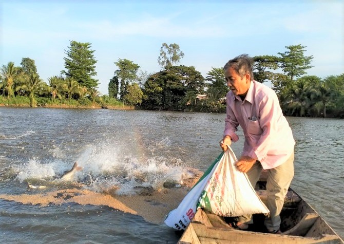 Nông dân nuôi cá tra ở An Giang gặp khó do giá cá thấp, nhưng chi phí nuôi tăng cao