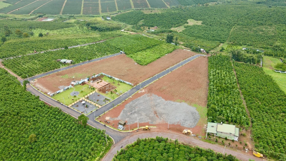 Lâm Đồng: Ra văn bản “khai tử” các quy định về phân lô, tách thửa trên đất nông nghiệp