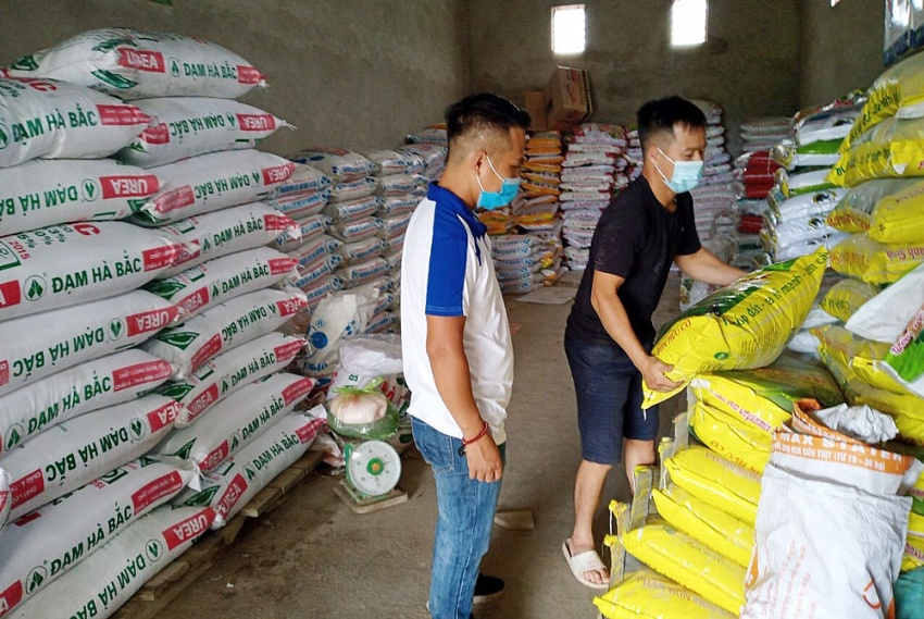 Giá phân bón hôm nay 6/6: Giao dịch bình ổn