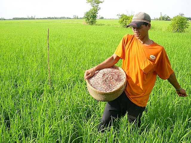 Giá phân bón hôm nay 23/6: Xuất khẩu NPK tăng