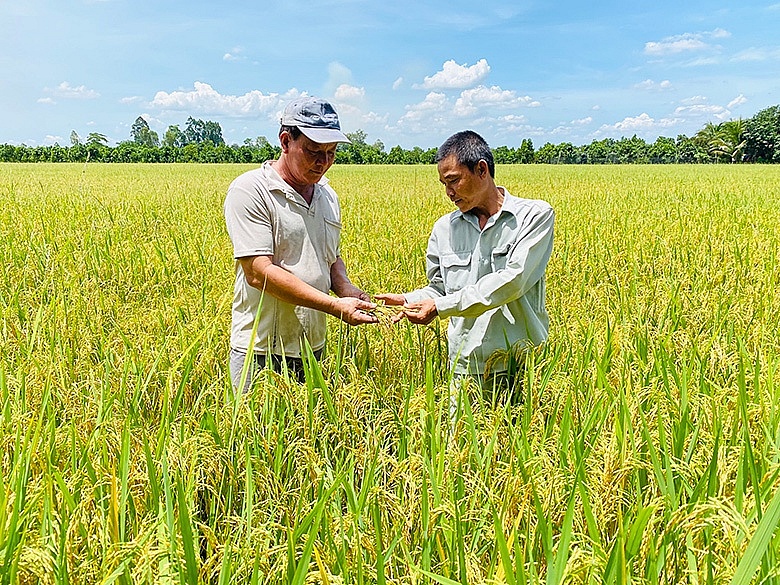 Giá phân bón hôm nay 7/7: Thị trường lặng sóng