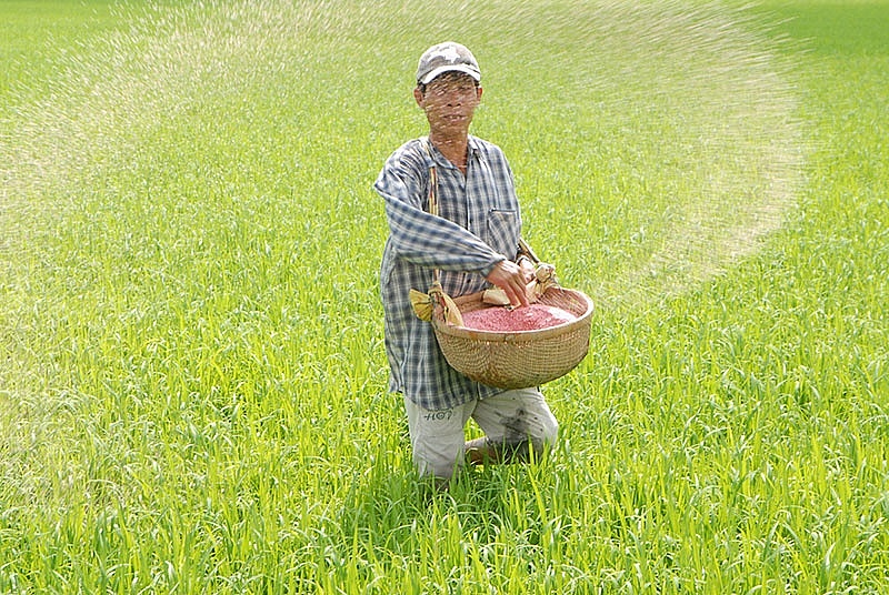 Giá phân bón hôm nay 8/7: Nhu cầu cho vụ Thu Đông tăng chưa nhiều