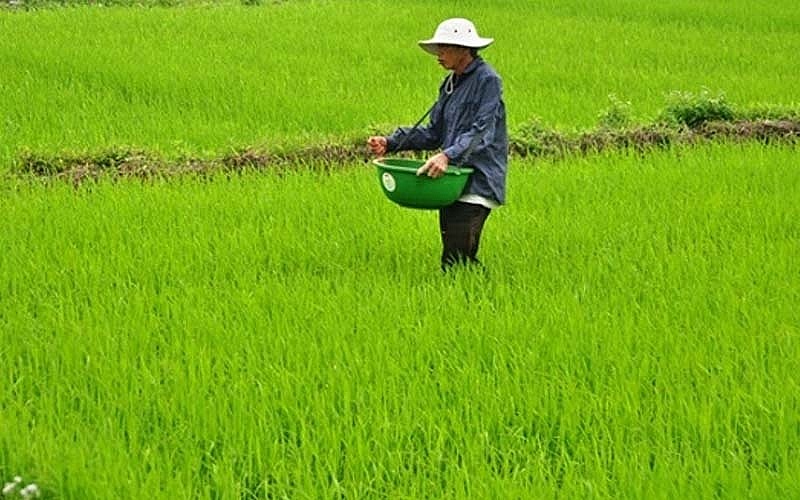 Giá phân bón hôm nay 3/10: Nhu cầu tiêu thụ hạn chế