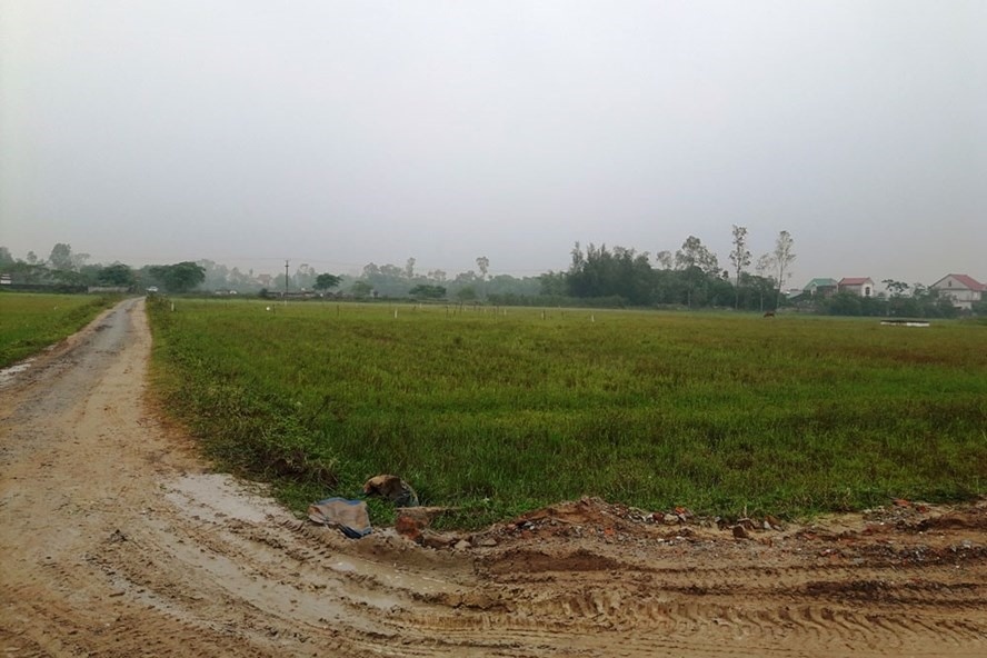 Hà Nội sắp thu hồi hơn 2.600ha đất nông nghiệp ở Hoàng Mai và Đông Anh