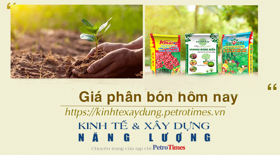 Giá phân bón hôm nay 16/2: DAP Đình Vũ tăng