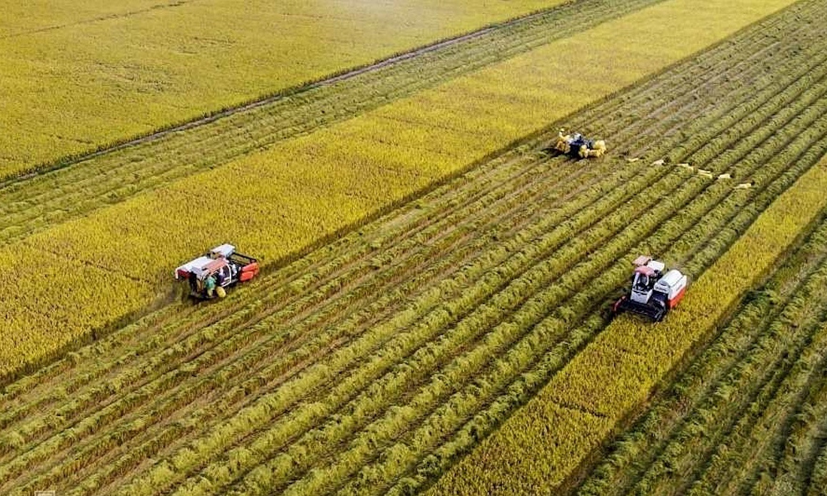 Tin Xây dựng - Bất động sản tuần qua: Hà Nội sắp vận hành công viên, hồ điều hòa hơn 740 tỷ đồng