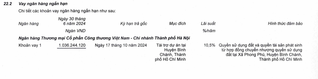 no-vay-tai-khang-dien-vnf-2