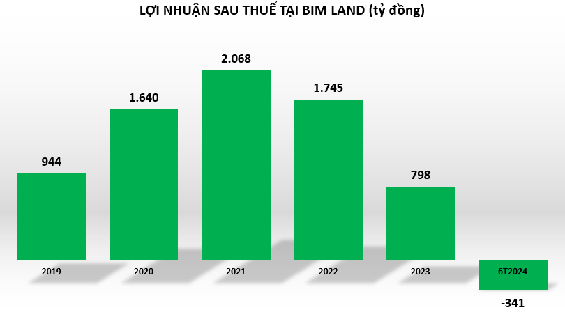 loi-nhuan-tai-BIM-Land-vnf-vnfinance