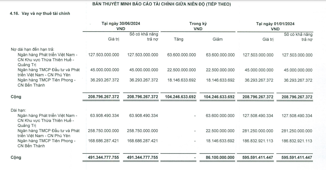 no-vay-tai-thuy-dien-mien-trung-vnf