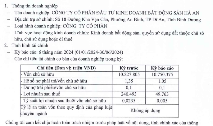 loi-nhuan-tai-doanh-nghiep-bat-dong-san-vnf-1