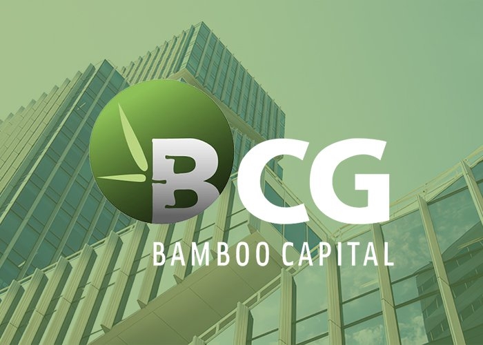 Bamboo Capital đạt lợi nhuận 546 tỷ trong năm 2022