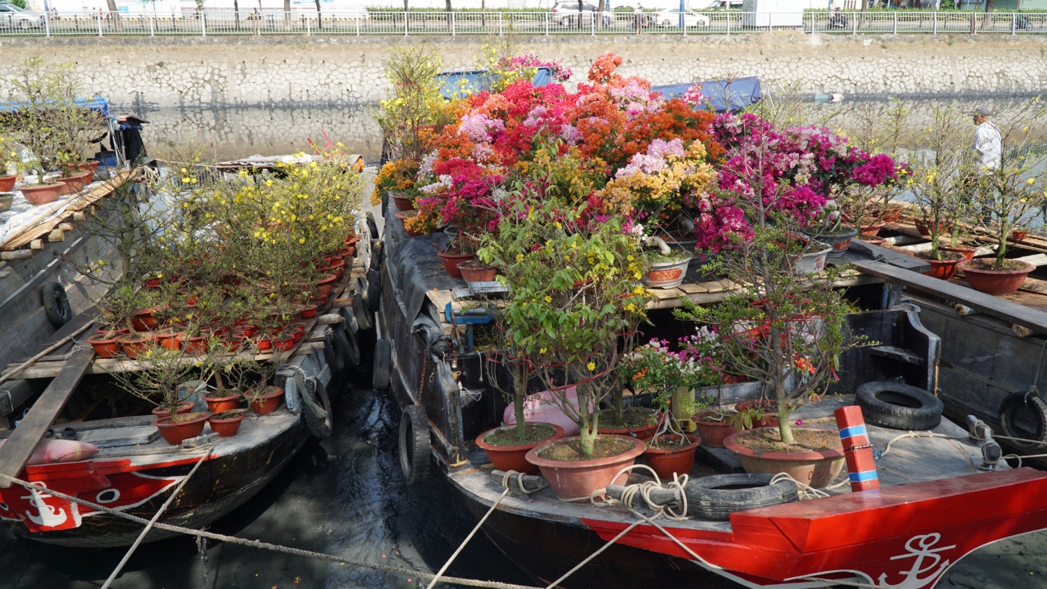 Ngắm chợ hoa “Trên bến dưới thuyền” giữa Sài Gòn
