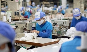 Doanh nghiệp vừa và nhỏ Việt Nam đã “đọc vị” EVFTA đến đâu?