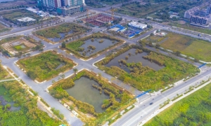 Tập đoàn Tân Hoàng Minh thông tin chính thức về việc xin tự nguyện đơn phương chấm dứt hợp đồng mua bán đấu giá lô đất tại Thủ Thiêm