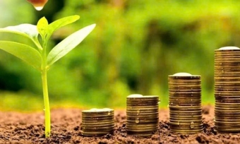 13 doanh nghiệp trả cổ tức tiền mặt, mức cao nhất lên tới 80%