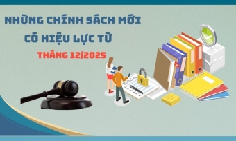 Những chính sách mới có hiệu lực từ tháng 12/2025
