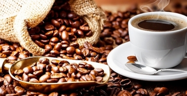 Giá cà phê hôm nay 28/9: Giảm 500 đồng/kg