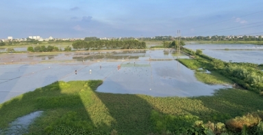 Rủi ro khi mua đất nông nghiệp giá rẻ với lời hứa chuyển đổi thành đất thổ cư