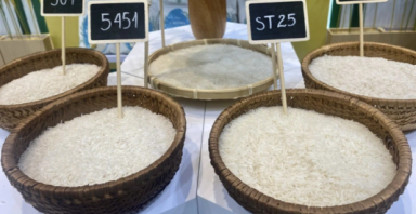 Gạo Việt Nam xuất khẩu nhiều nhất vào thị trường Singapore